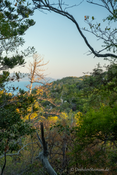 Magnetic Island Forts Walk