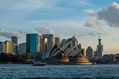 Sydney Opera
