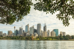 Sydney Skyline