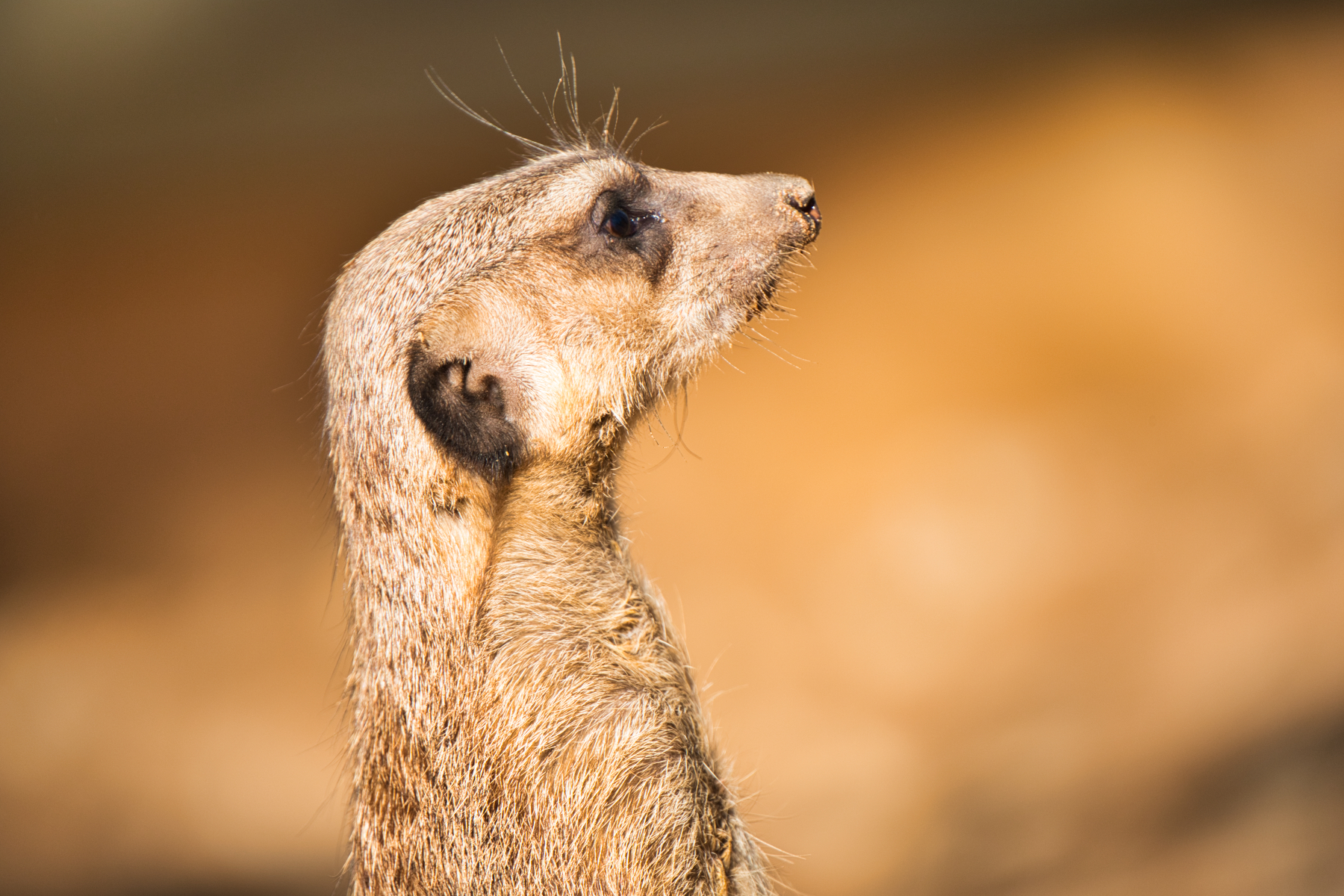 Besuch im Zoo Augsburg