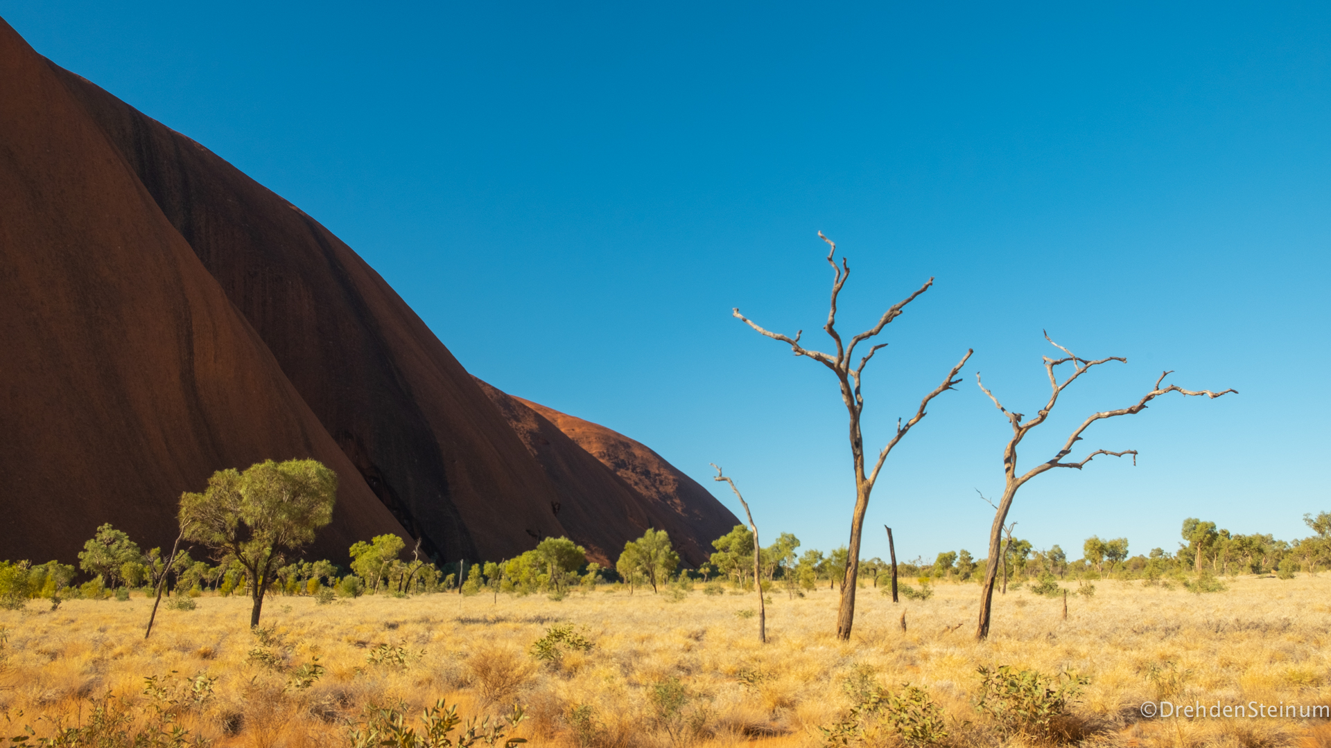 Outback Tour – Uluru und Kata Tjuta