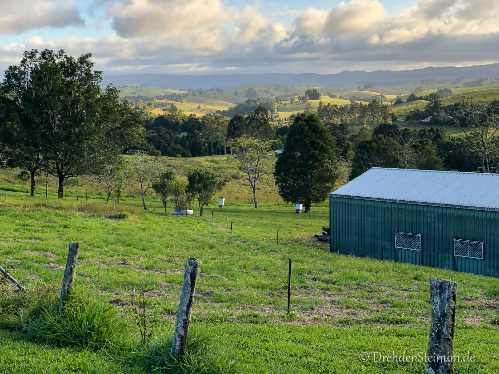 Atherton Tablelands – Queenslands grünes Hinterland